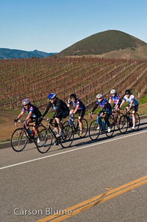 Vineyards and Bellas